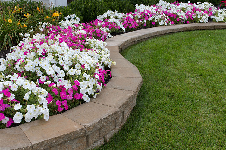 Property Maintenance Company
