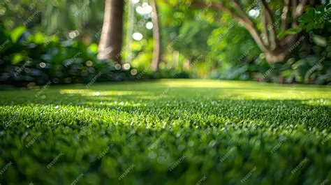 Why Fertilizing Your Lawn is the Key to a Lush, Healthy Yard