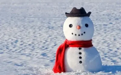 Why Snow is Actually Good for Your Lawn