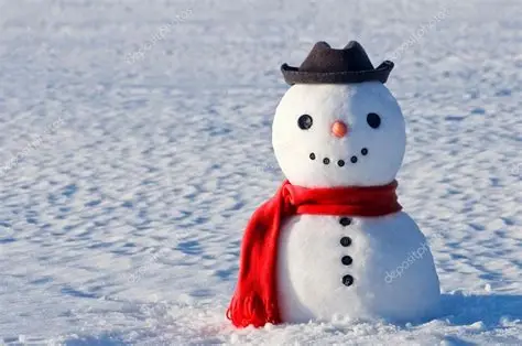 Why Snow is Actually Good for Your Lawn